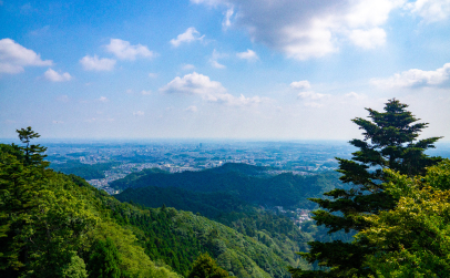 八王子市のポスティング