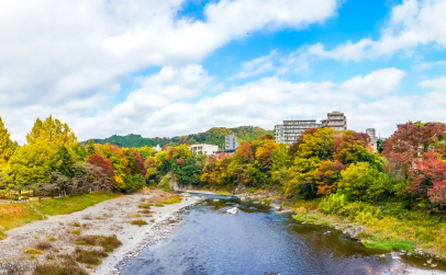 青梅市のポスティング