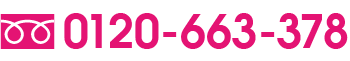 0120-663-378
